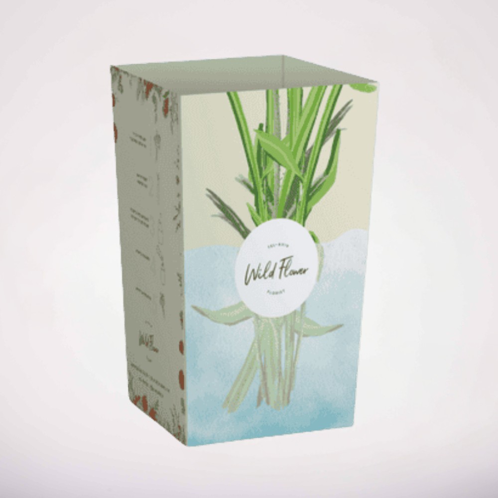 קופסת קרטון מעוצבת – תמונה 2