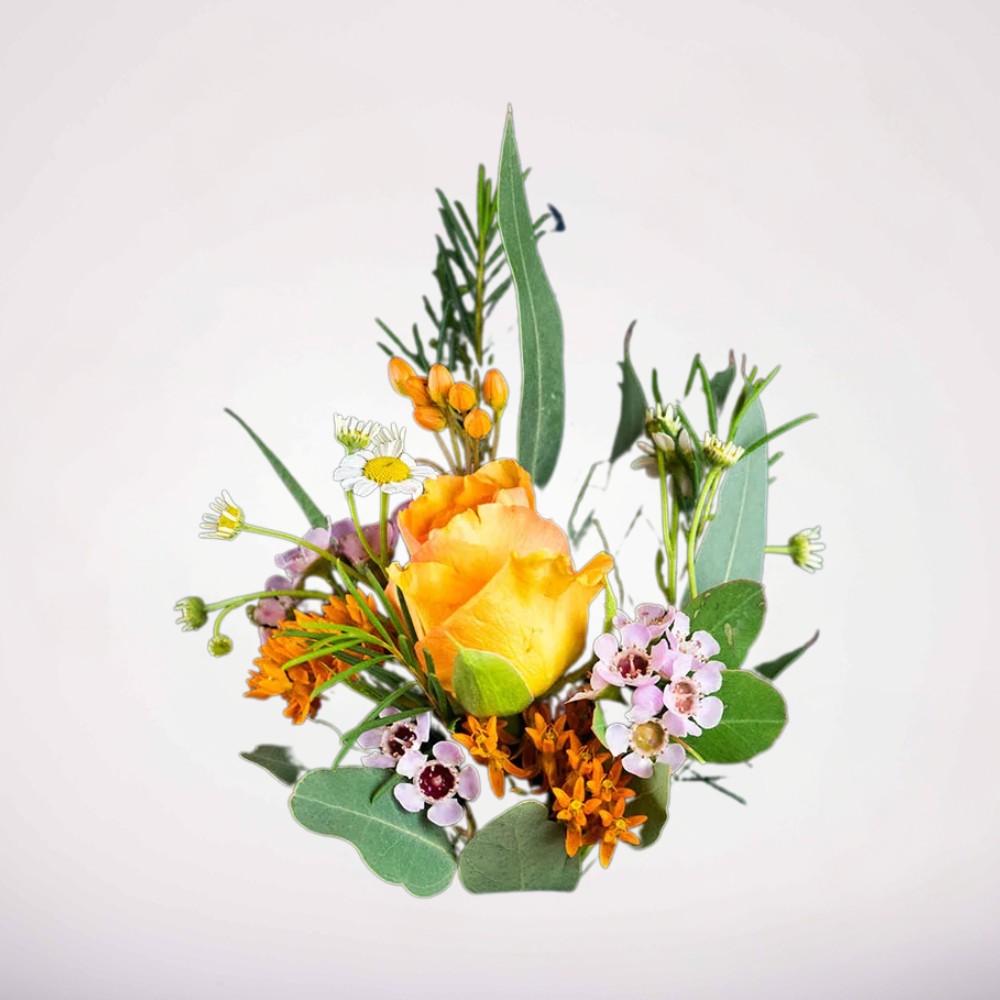 פרחים לדש - טרי – תמונה 2