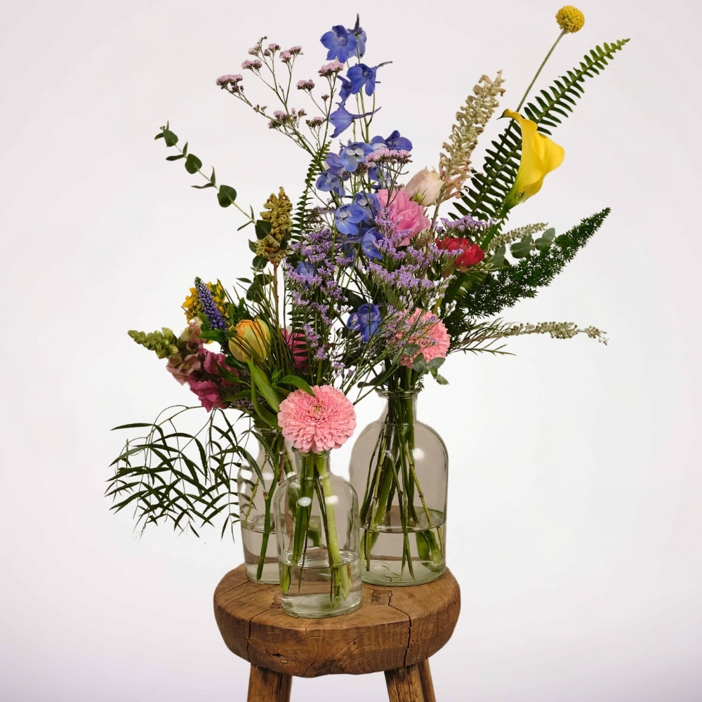 Wild Refill – תמונה 2