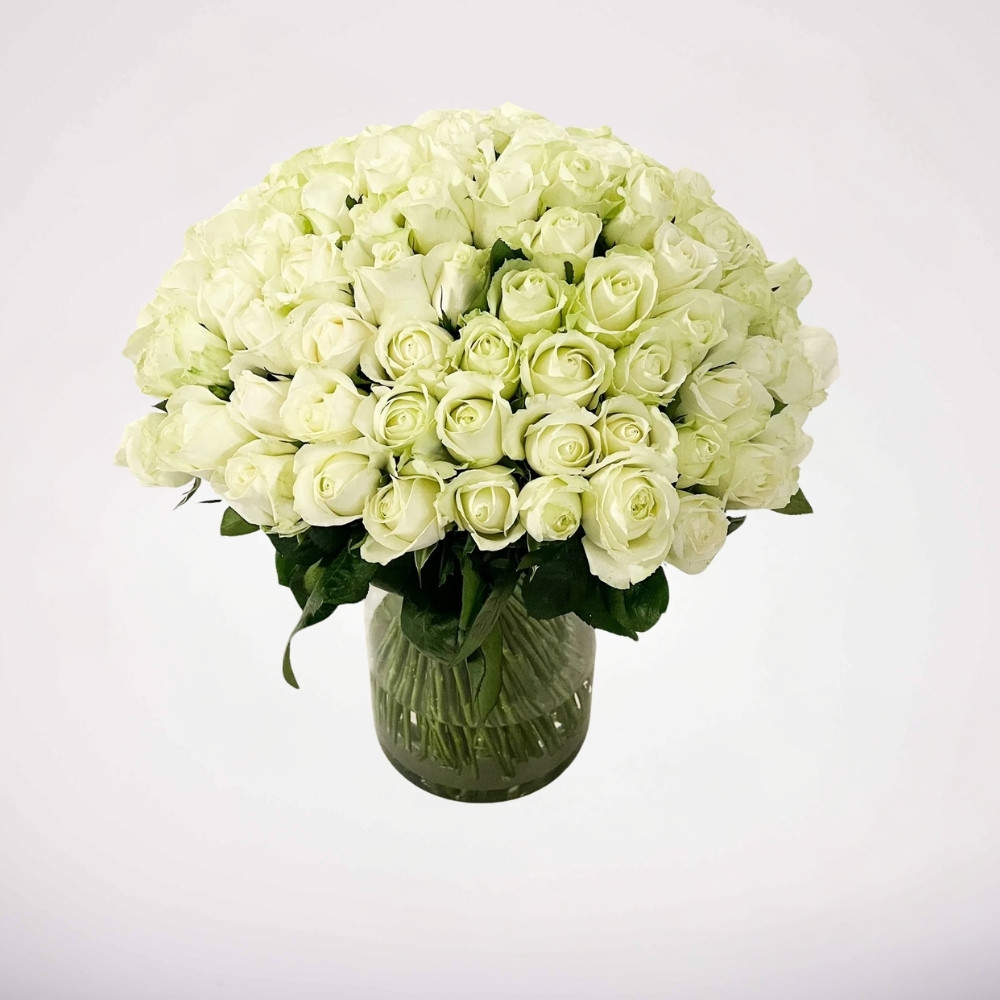 גינת ורדים - לבן