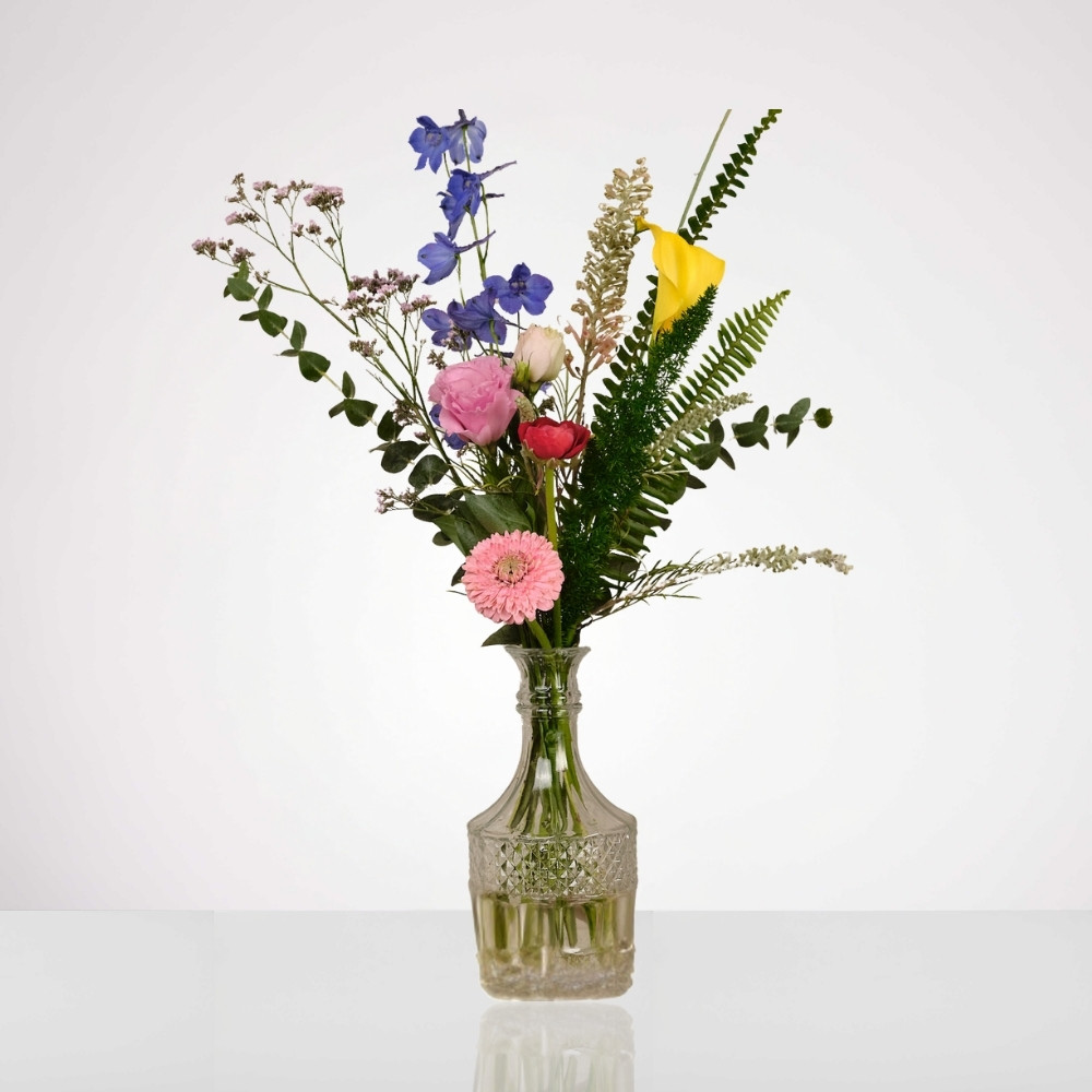 גינה בבקבוק – תמונה 2