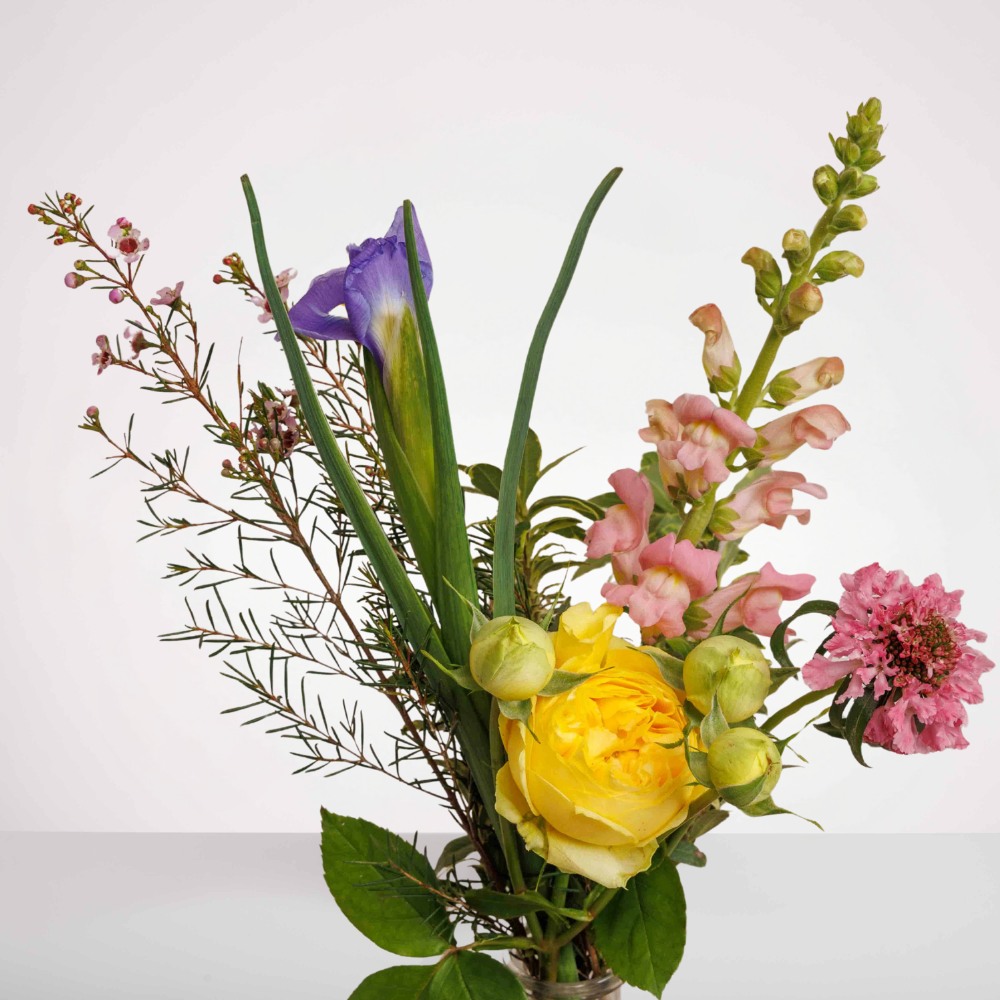 Wild Gin – תמונה 2