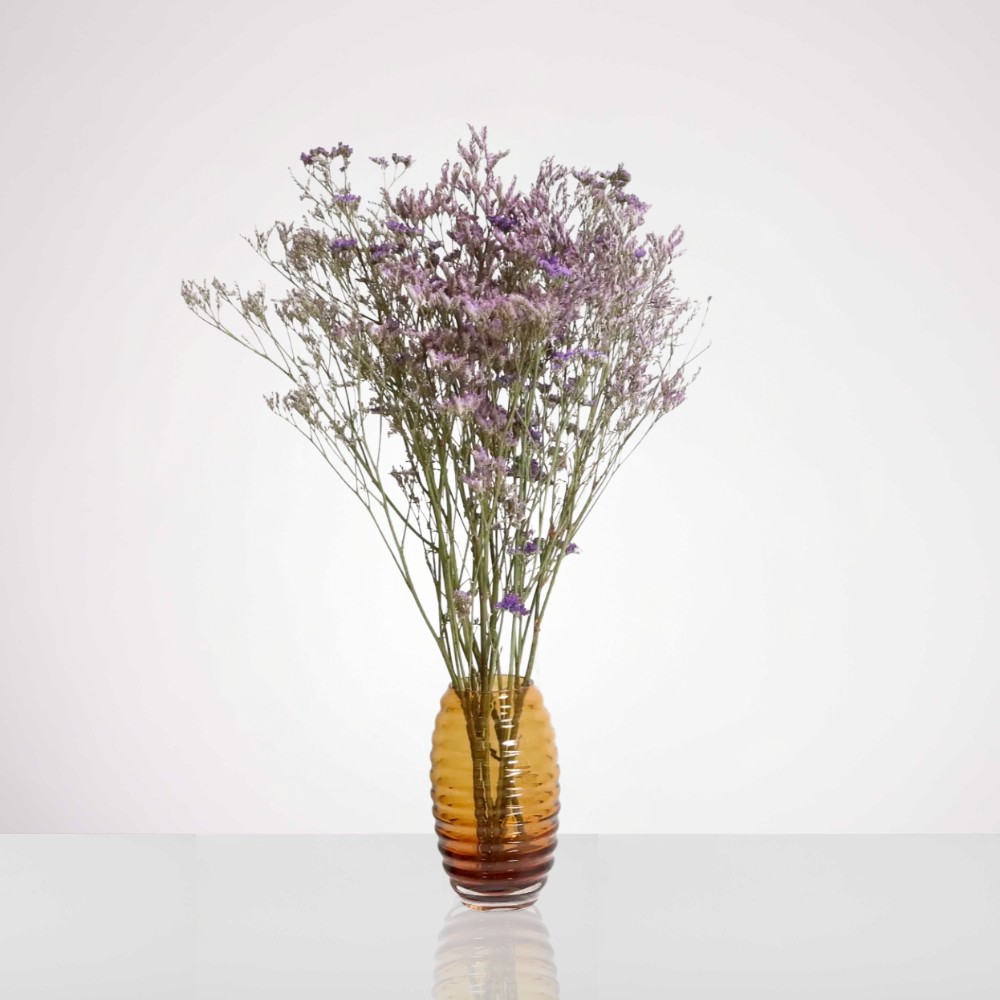 לימוניום צבעוני