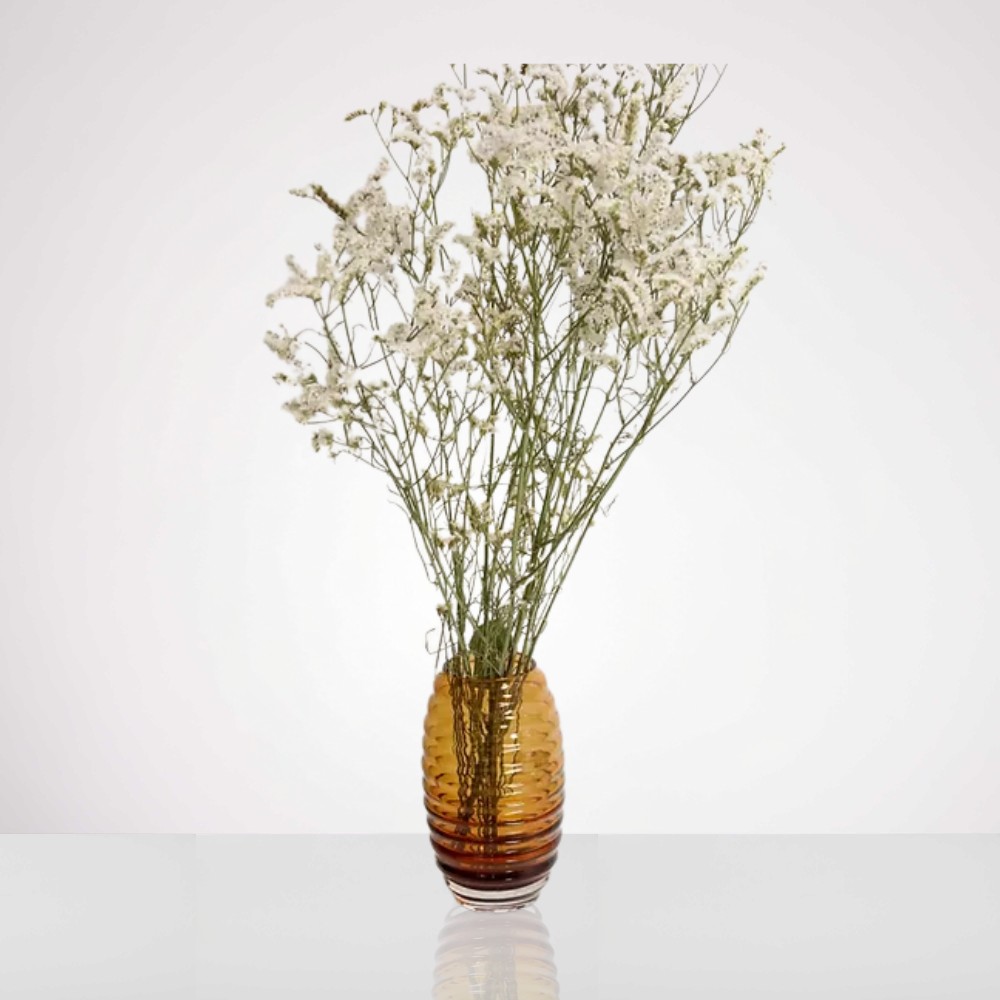 לימוניום צבעוני – תמונה 2