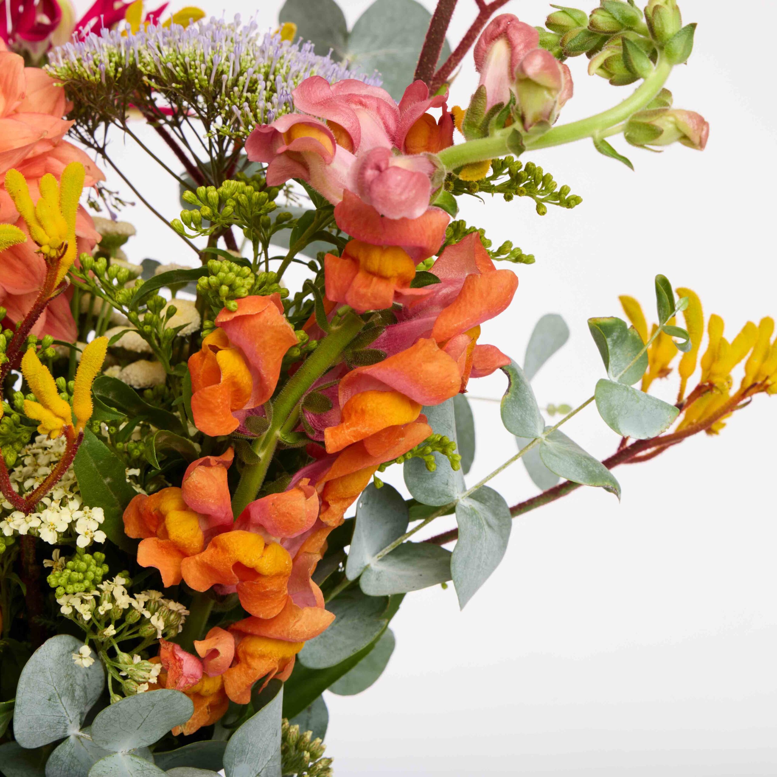 קיץ שמח – תמונה 6