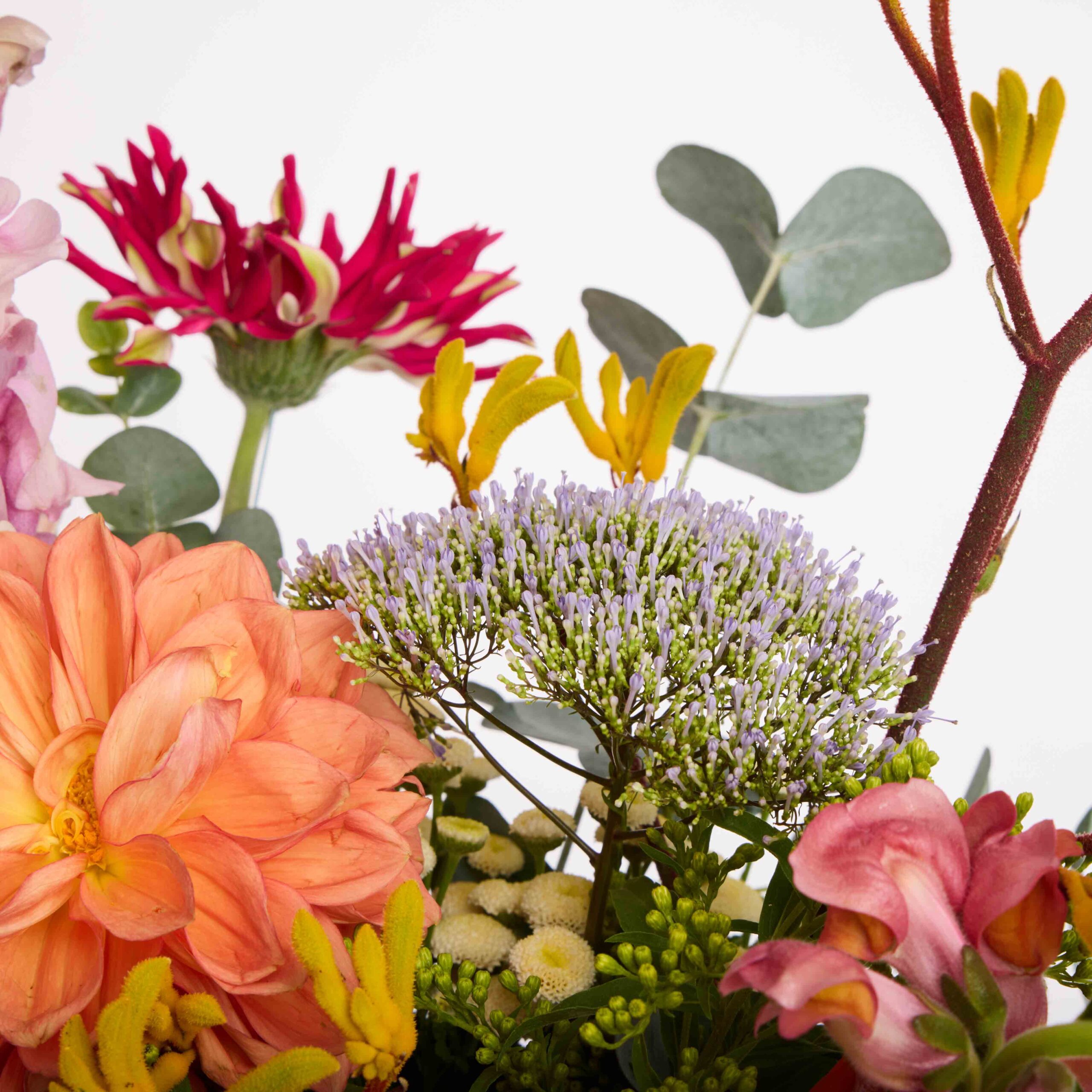 קיץ שמח – תמונה 5