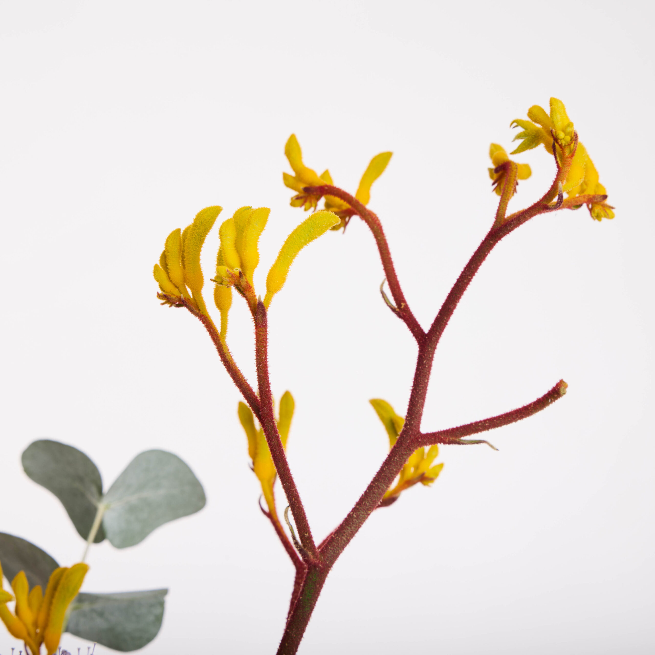 קיץ שמח – תמונה 4