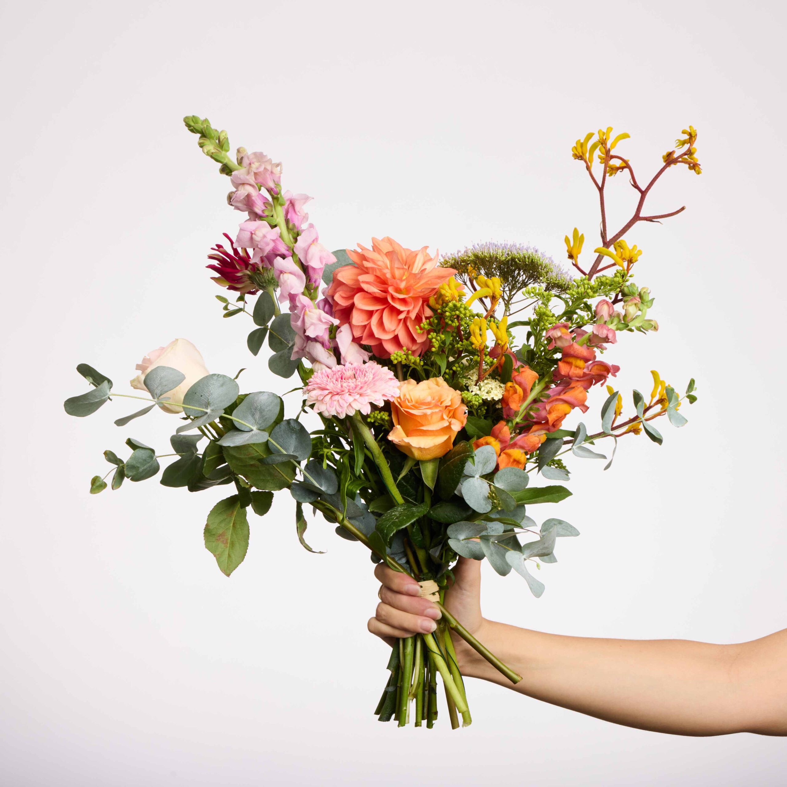 קיץ שמח – תמונה 2