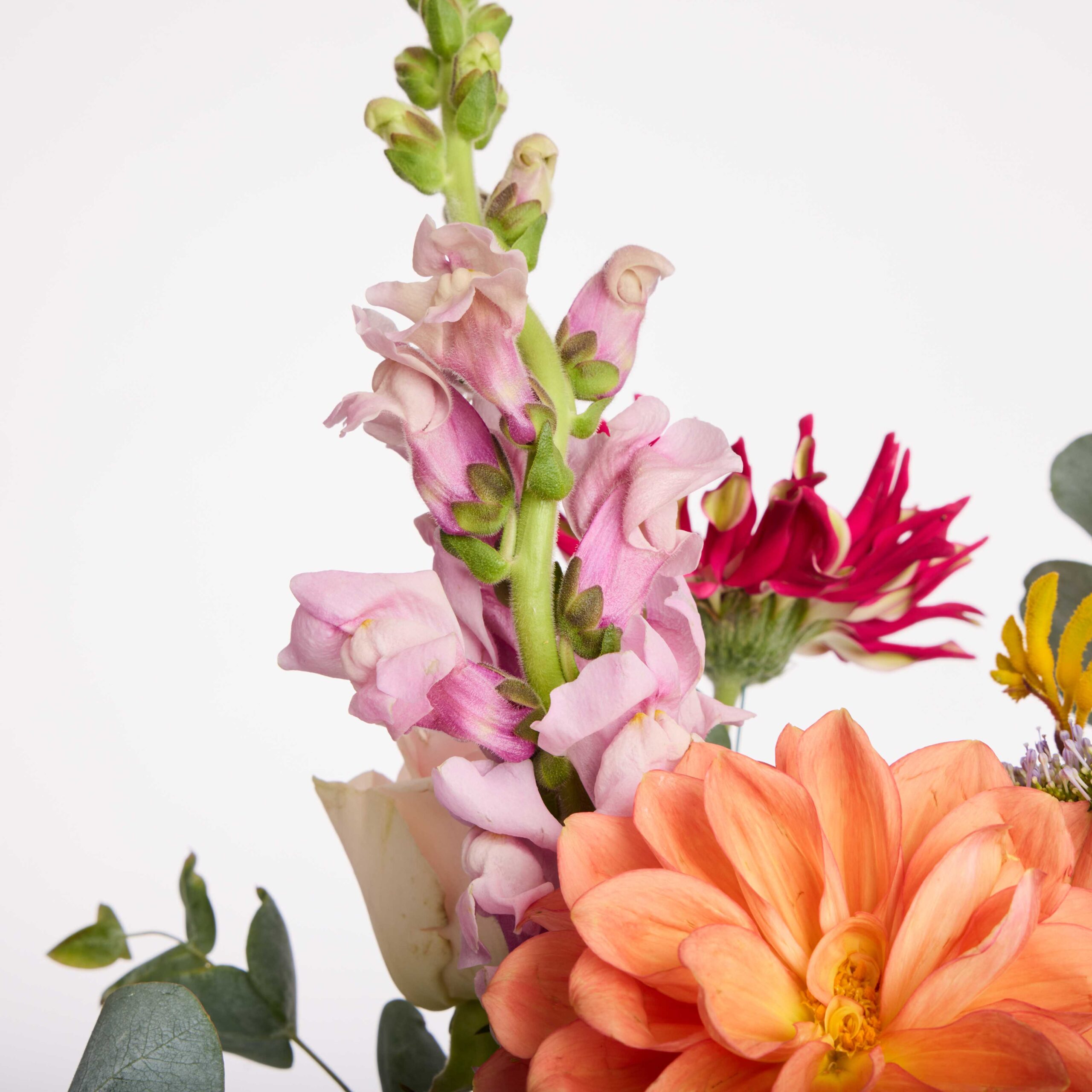 קיץ שמח – תמונה 3