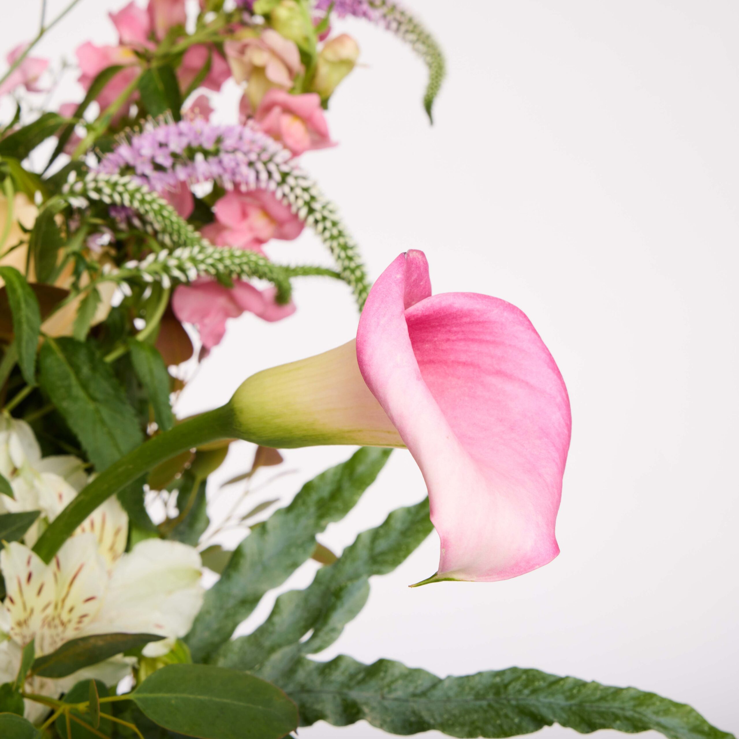 חלום ורוד ללידה – תמונה 3