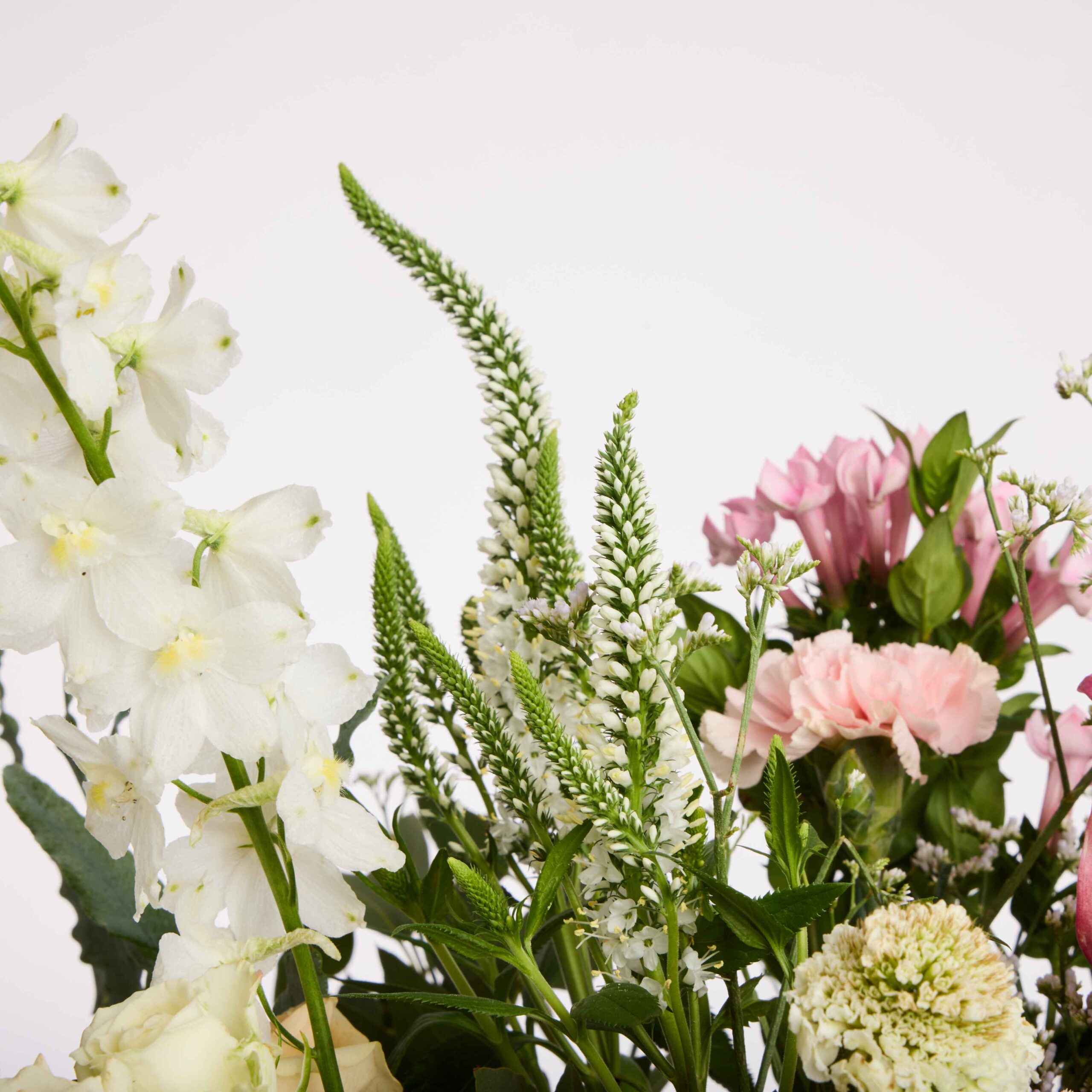 חלום ורוד ללידה – תמונה 4