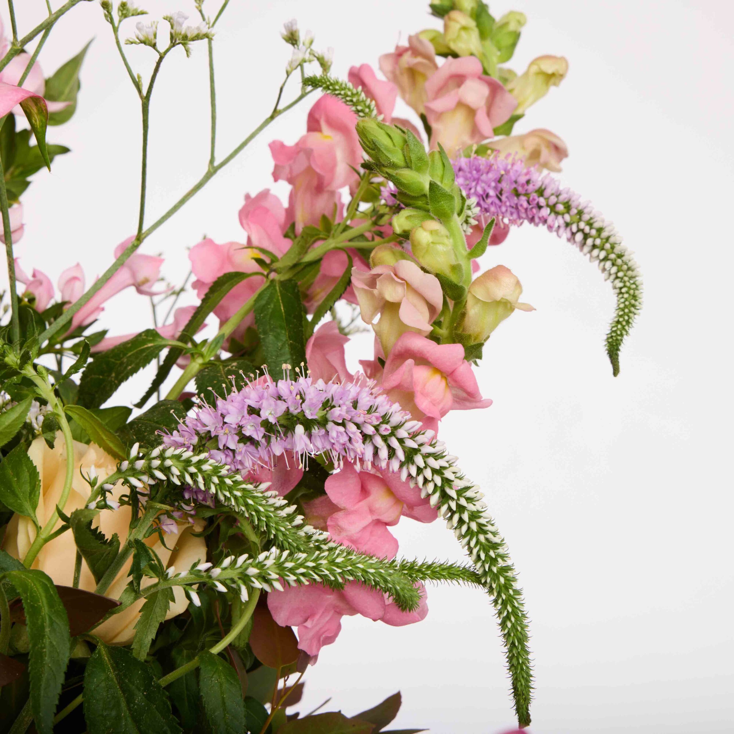 חלום ורוד ללידה – תמונה 2