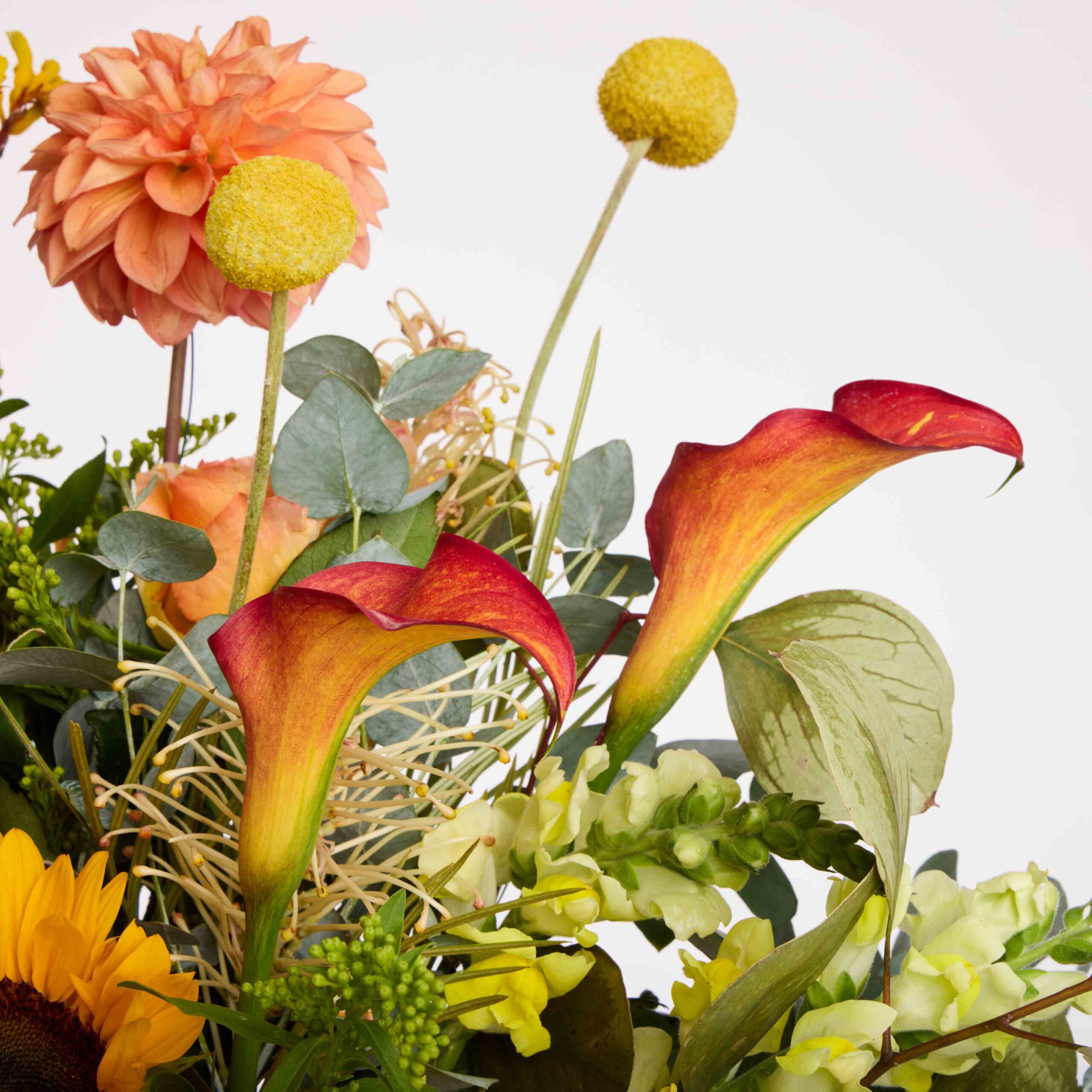 אביב איטלקי – תמונה 2