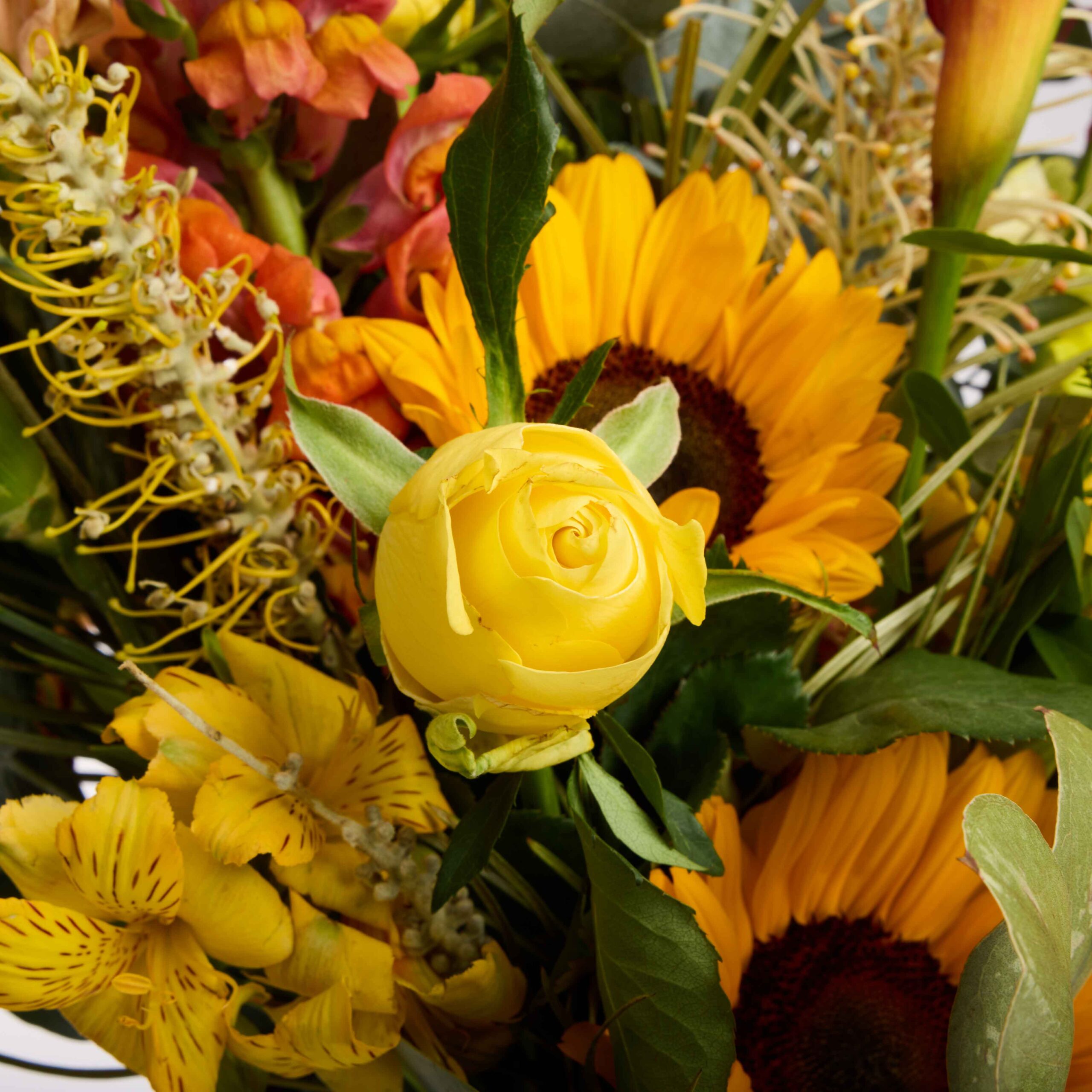 אביב איטלקי – תמונה 3