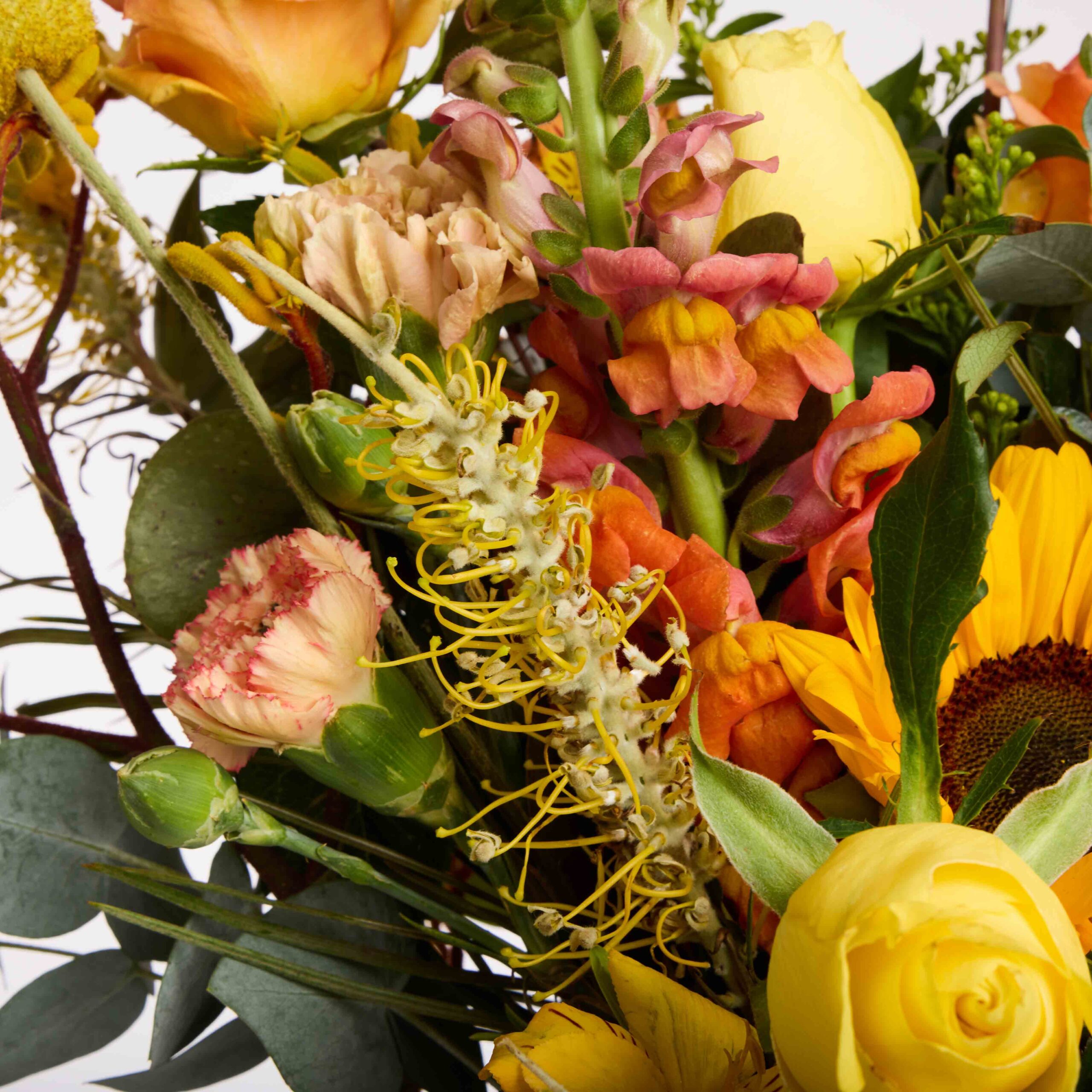 אביב איטלקי – תמונה 4