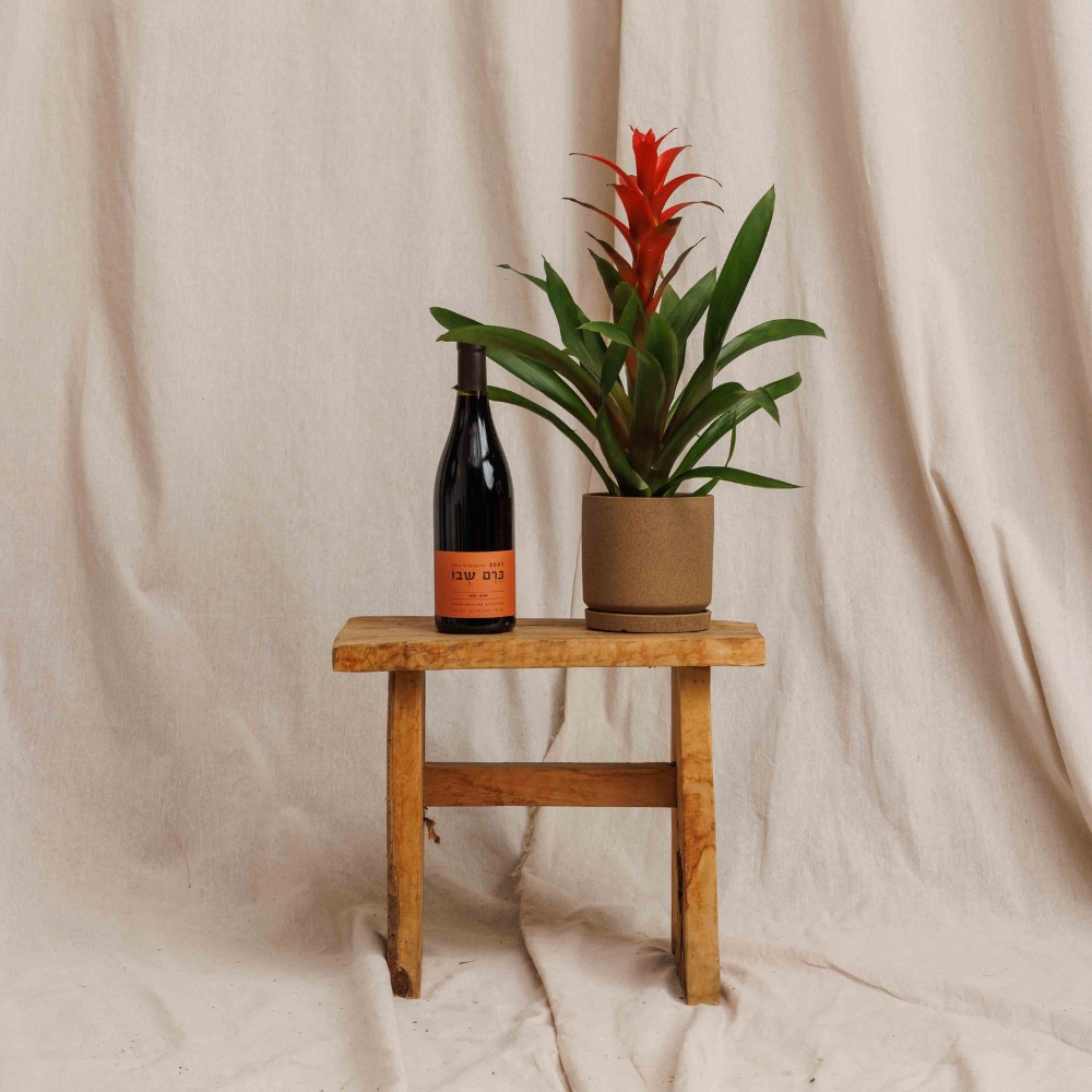 אדום על אדום