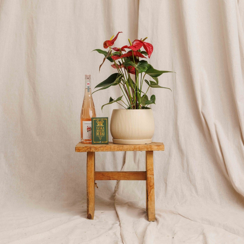 מארז אנטוריום דובאי ורוזה