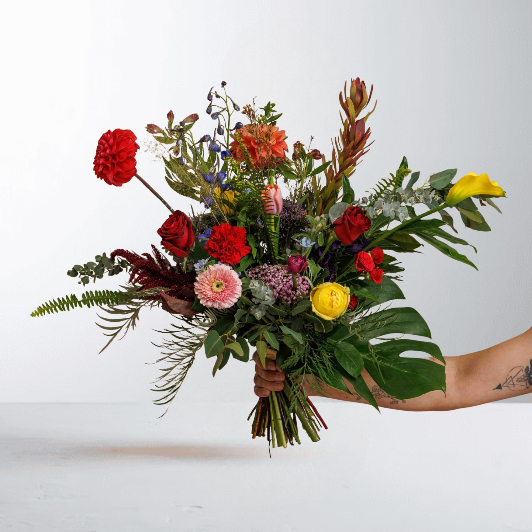 פסטיבל צבעוני