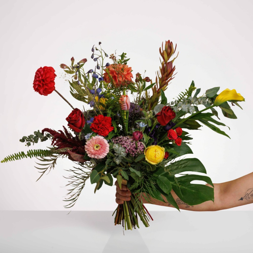 פסטיבל צבעוני – תמונה 2