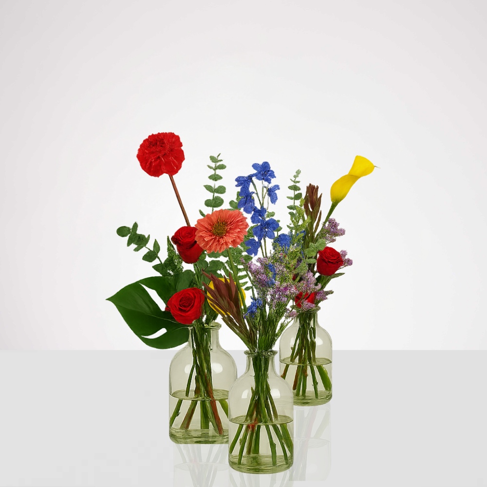 סטייל שולחן - חגיגה צבעונית – תמונה 3