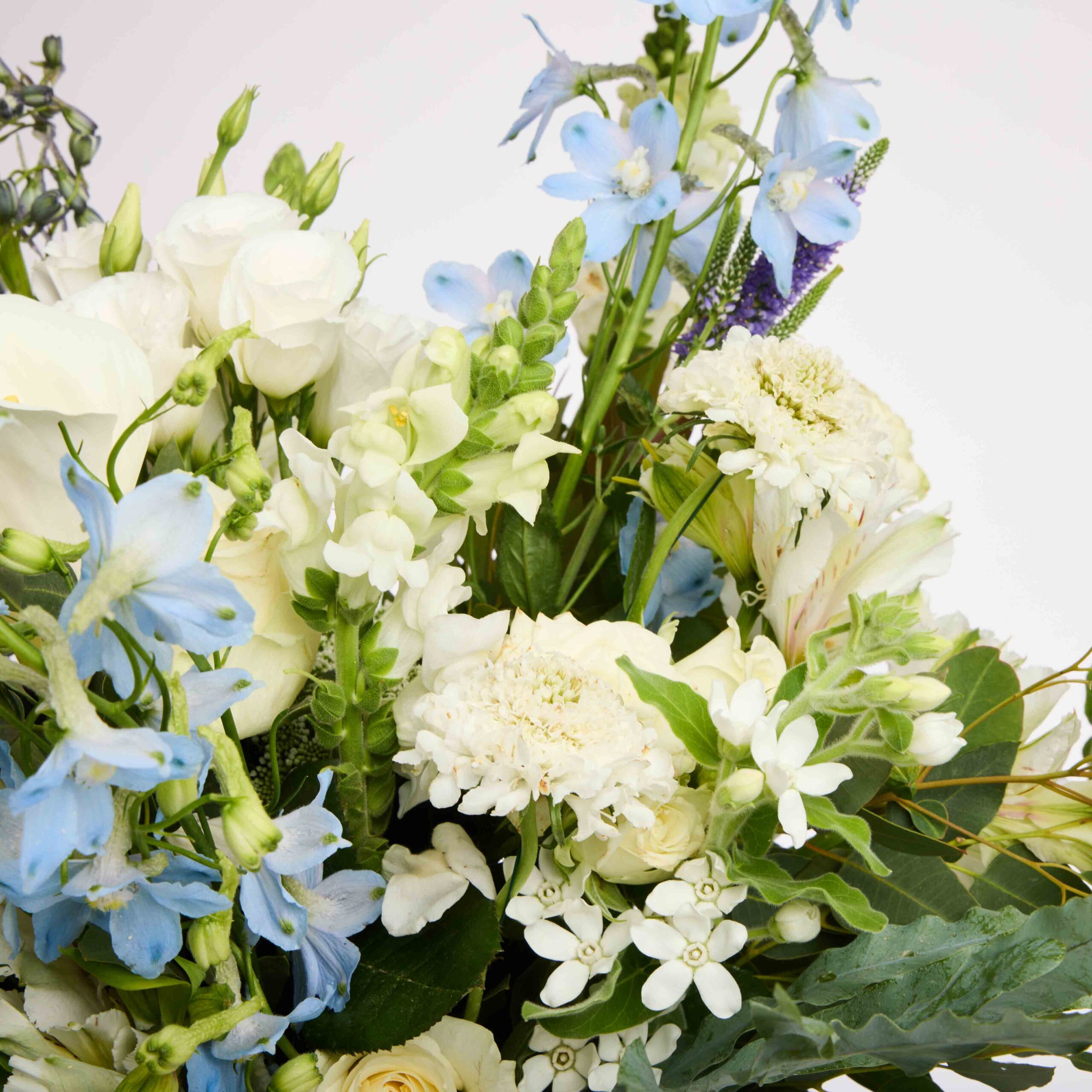 חלום כחול ללידה – תמונה 2