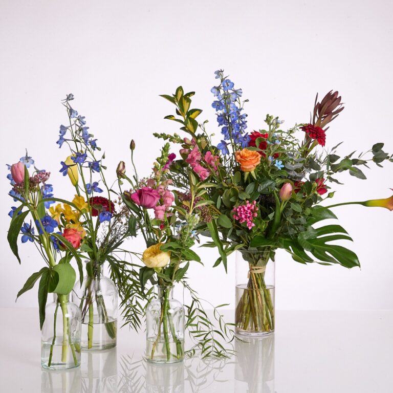 table style color - 1