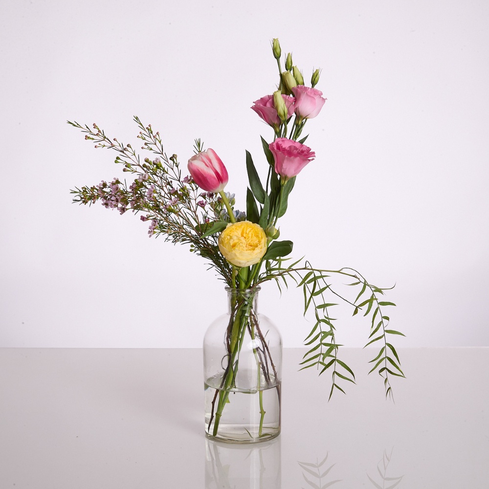 Wild Mini-Match – תמונה 2