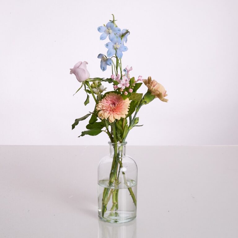 wild trio clear pastel - 3