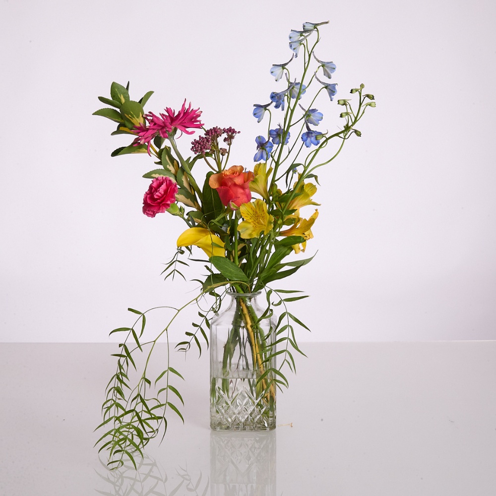 Wild Whisky – תמונה 4