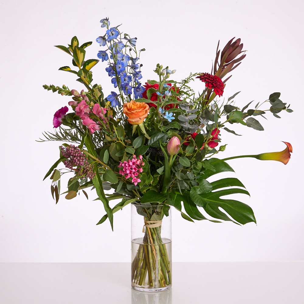 פסטיבל חורף